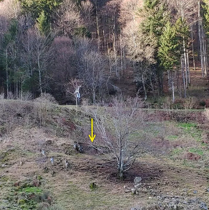 Fundamentreste der Seilbahnstation
