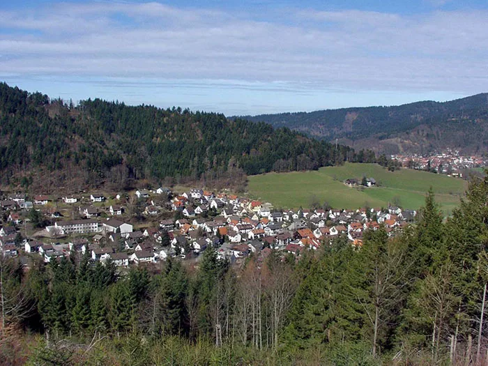 Rotkehlchen