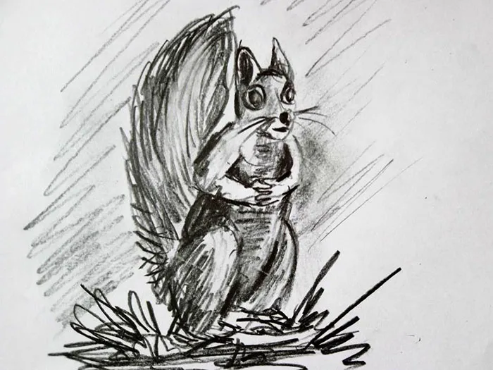 Eichhörnchen, Kontaktruf